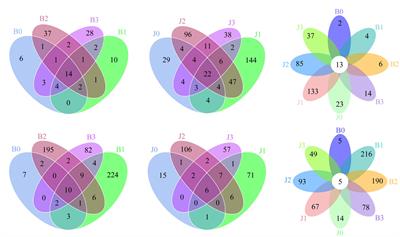 Response of microbial communities in the tobacco phyllosphere under the stress of validamycin